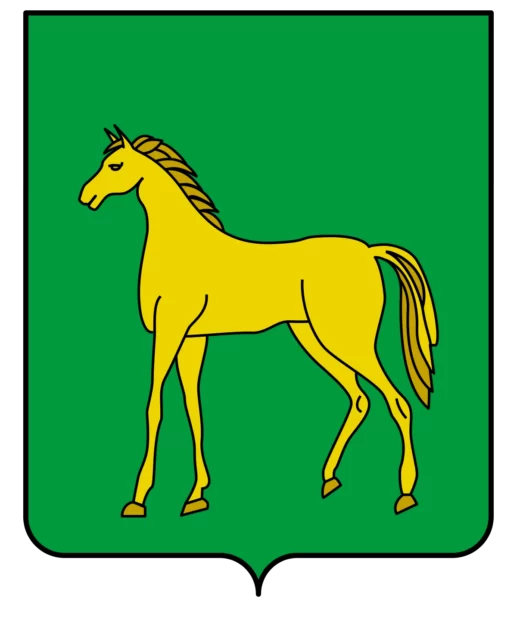 Бронницы